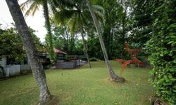 Holland Avenue (D10), Detached #514174601